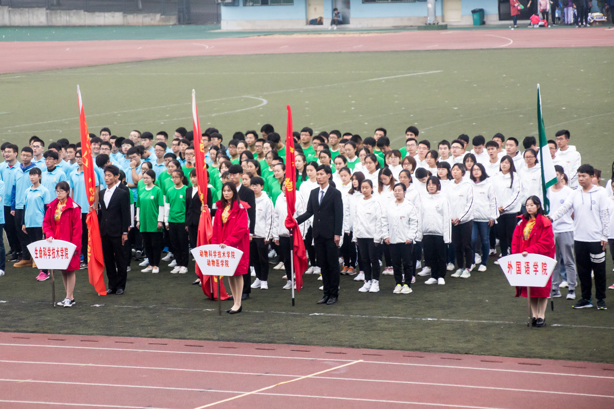 四川旅游学院运动与休闲学院建院二十周年纪念大会成功举办(图1)