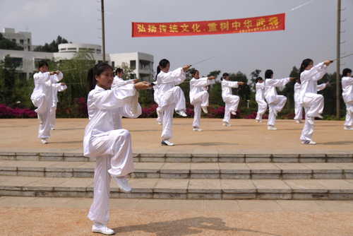 武汉体育学院2024年运动训练、武术与民族传统体育专业招生简章(图1)